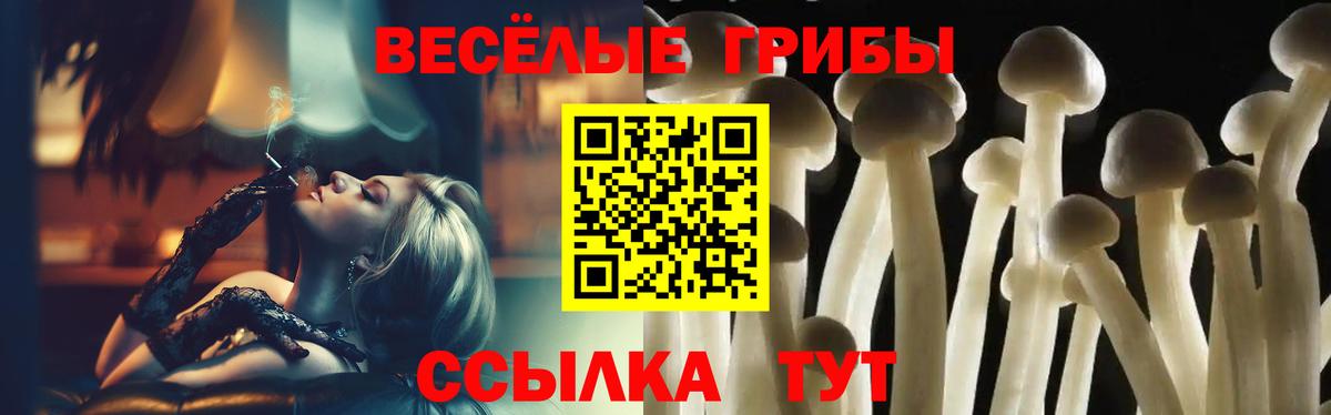 Саянск  Псилоцибиновые грибы Psilocybe  Вход с VPN 